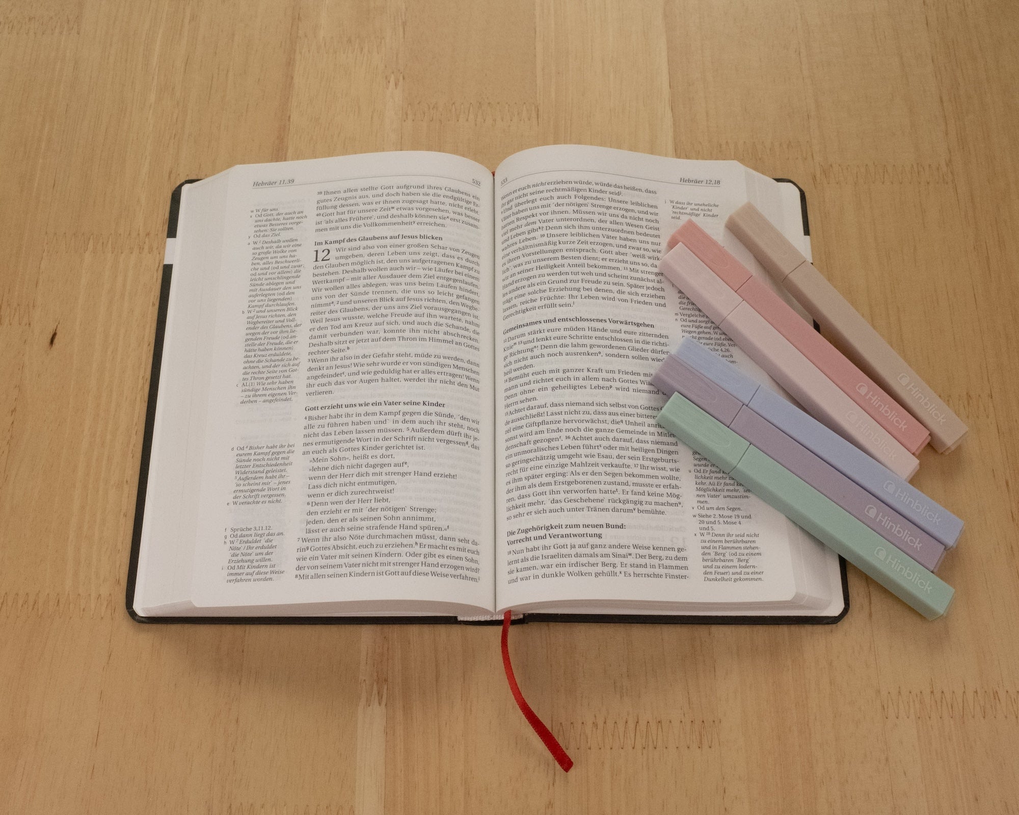 Bibel Textmarker Pastellfarben | 6er Set