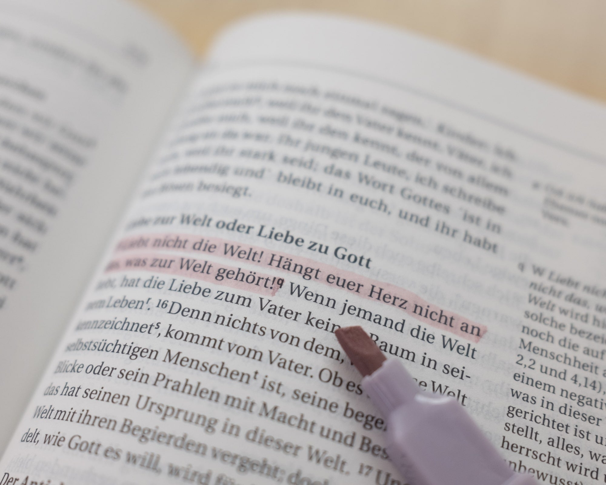 Bibel Textmarker Pastellfarben | 6er Set